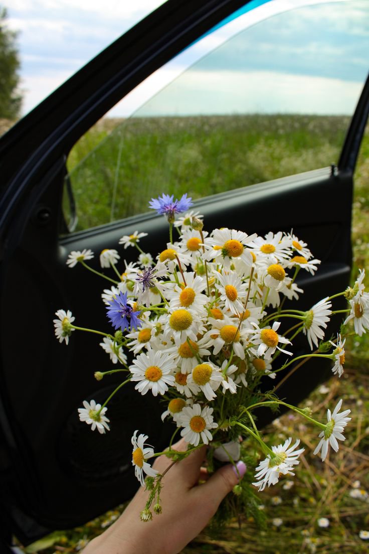 FLOWERS3700's tweet photo. https://t.co/61eN2vnGI9