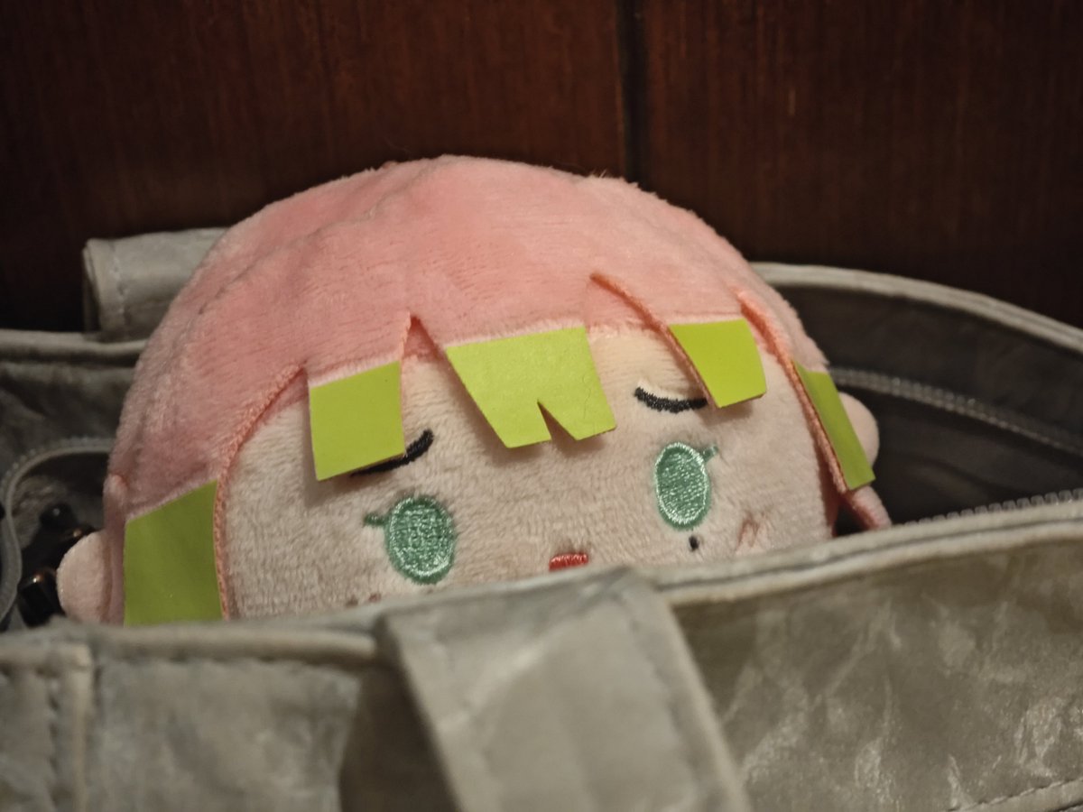 Azuki0832's tweet photo. 約2週間前に友達と一緒に中国限定のフラッシュモブに行きました，私は本当に今回の立ち絵が大好きです😭😭😭❤️❤️❤️ https://t.co/RyvDsm9ovo