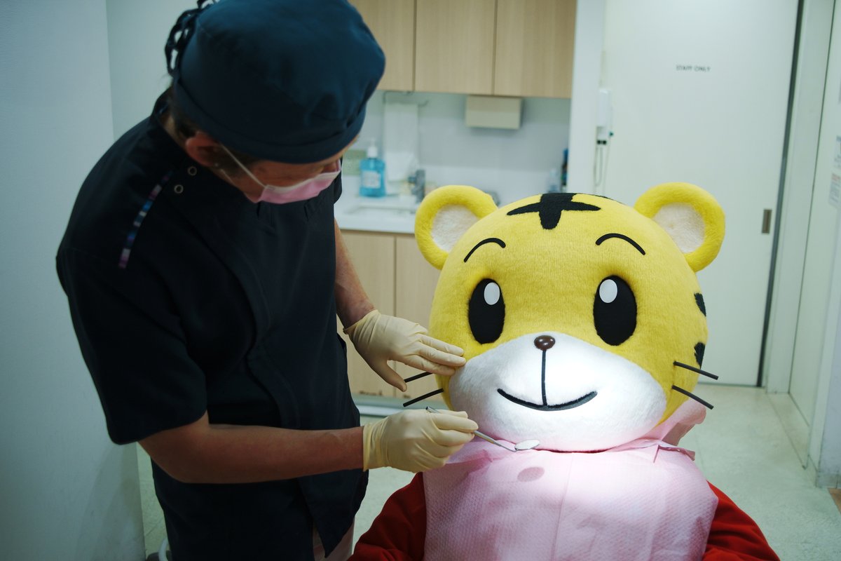 shima_official's tweet photo. おや？しまじろう　先生に何か言われてるのかな？ https://t.co/jHFQGqqFE8