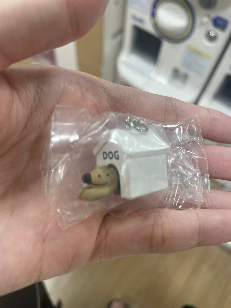 TiKurti's tweet photo. 【交換】
ウルフくん WOLFKUN マスコットチャーム めじるし

譲:DOGKUN HOUSE

求:WOLFKUNどれでも

ダブってしまったので、交換を探しています。
都内or横浜or川崎付近手渡し もしくは 郵送での交換を希望しております https://t.co/KyJu2bOVls