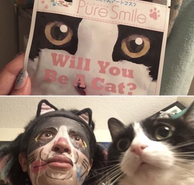 NoCatsNoLife_m's tweet photo. Yes you can https://t.co/CFoaxU5Ybl