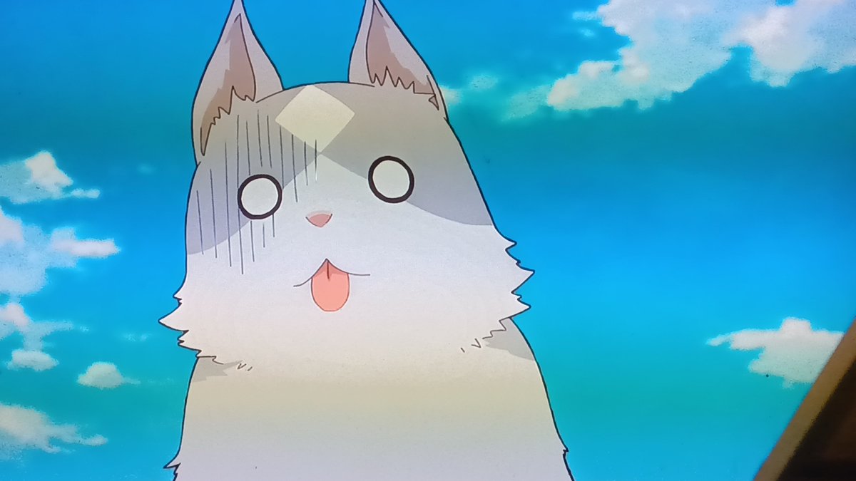 『猫と竜』第8話「城下町の生活&黒猫と冒険王子」感想|猫が値踏みしていたのは人間反応画像11