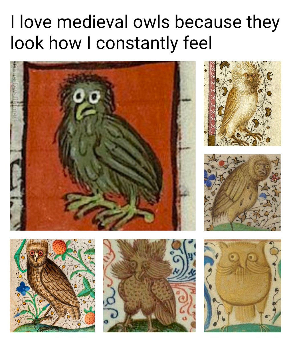 medievalistmatt's tweet photo. I'm the one having an existential crisis https://t.co/cd2vSJmCbJ
