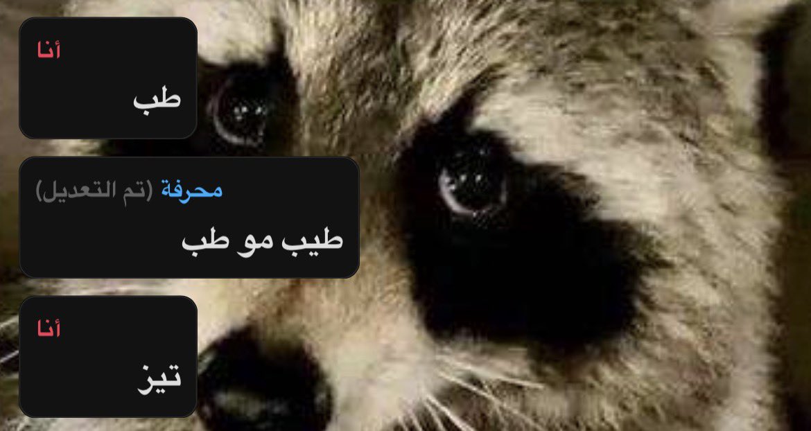 keoojp's tweet photo. هصخخههههههه
ترا مسميتها محرفه الانجيل لان كنت اقول لها ذولاك كانو يطالعو فيكي
قالت اها يعني انا رخيصه
وزيره التصعيد الملكه روروووووو https://t.co/8uORicMtL4
