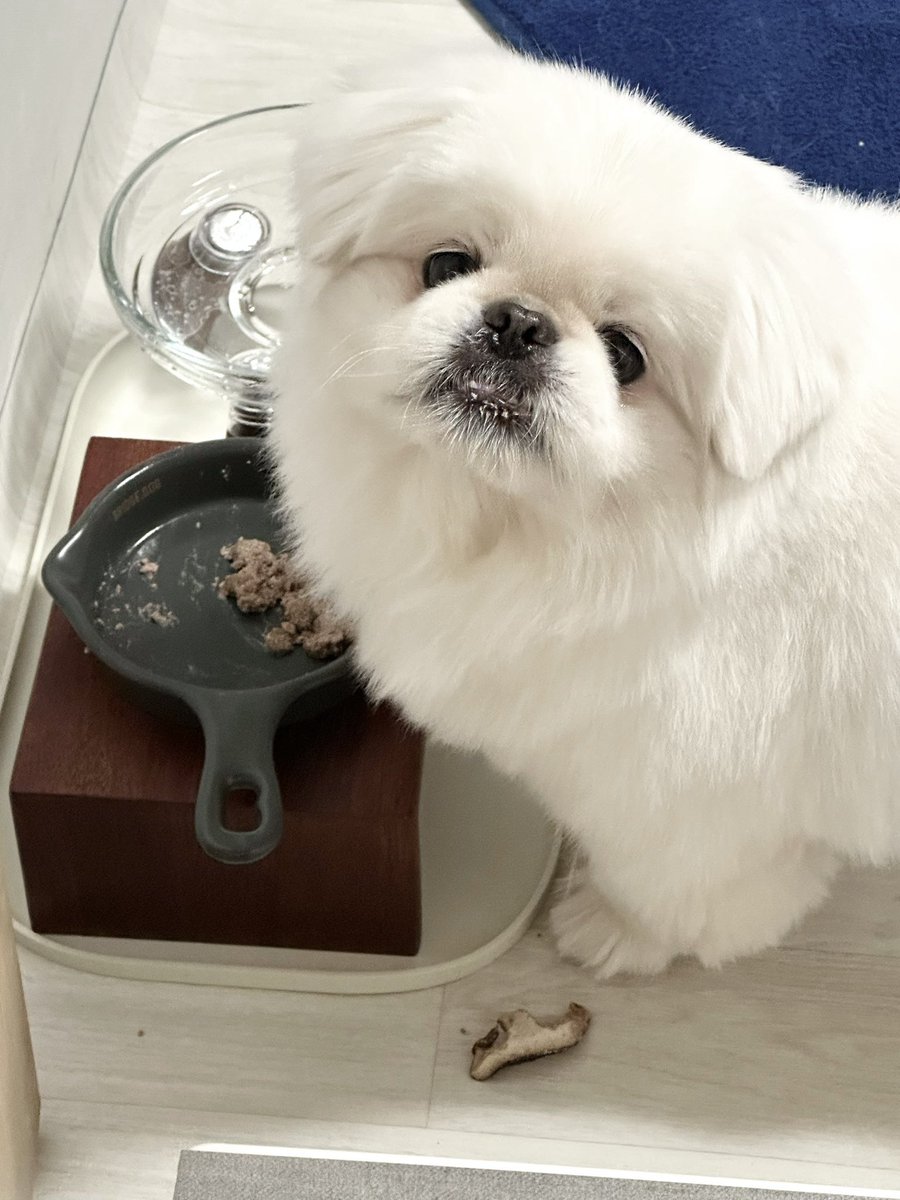 zzoggany's tweet photo. 이딴거 니나먹어 https://t.co/piTpoXtE4M