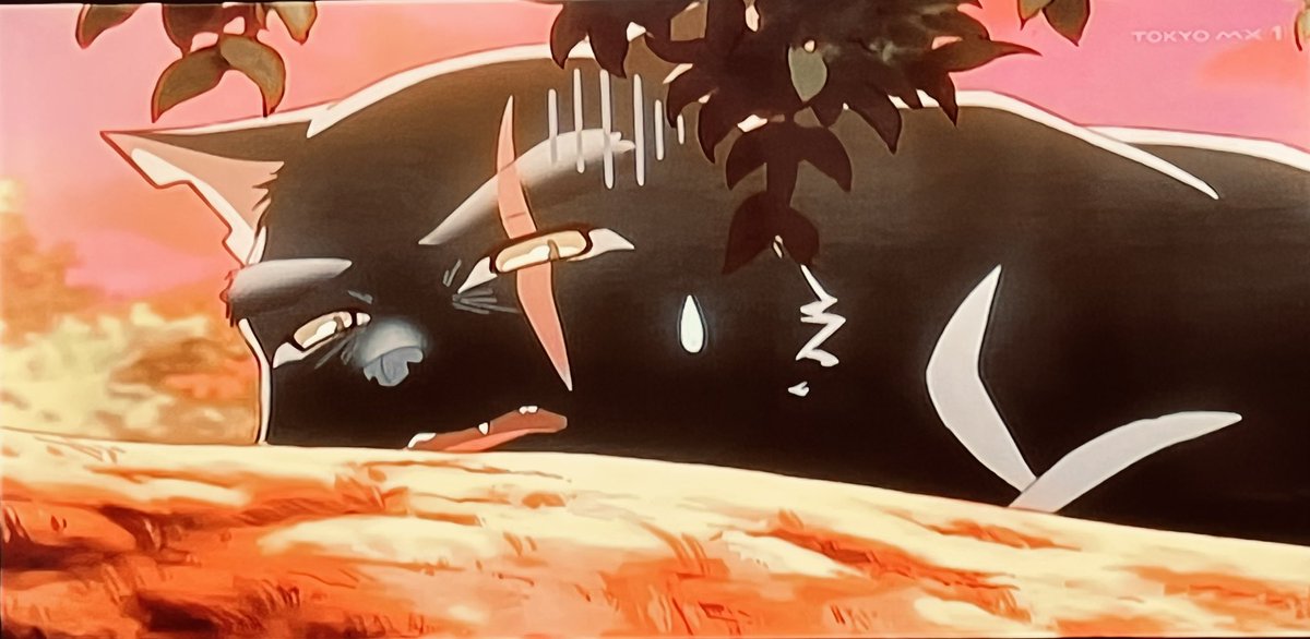 猫と竜 第8話 ツイート画像 1