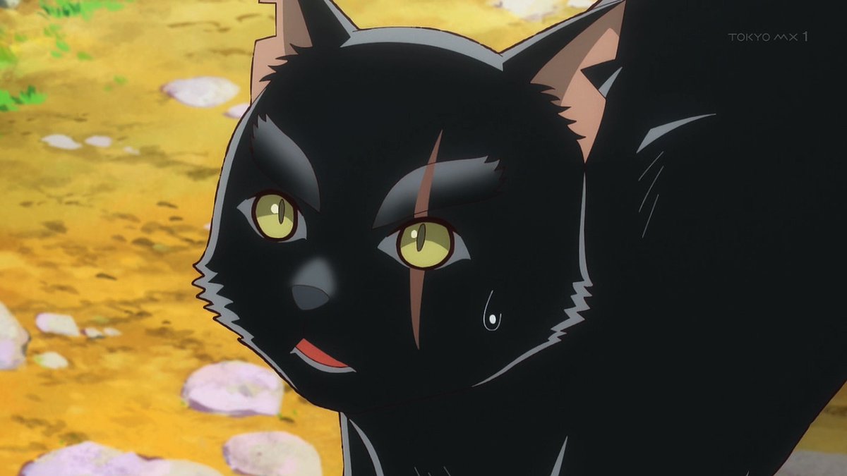 猫と竜 第8話 ツイート画像 1