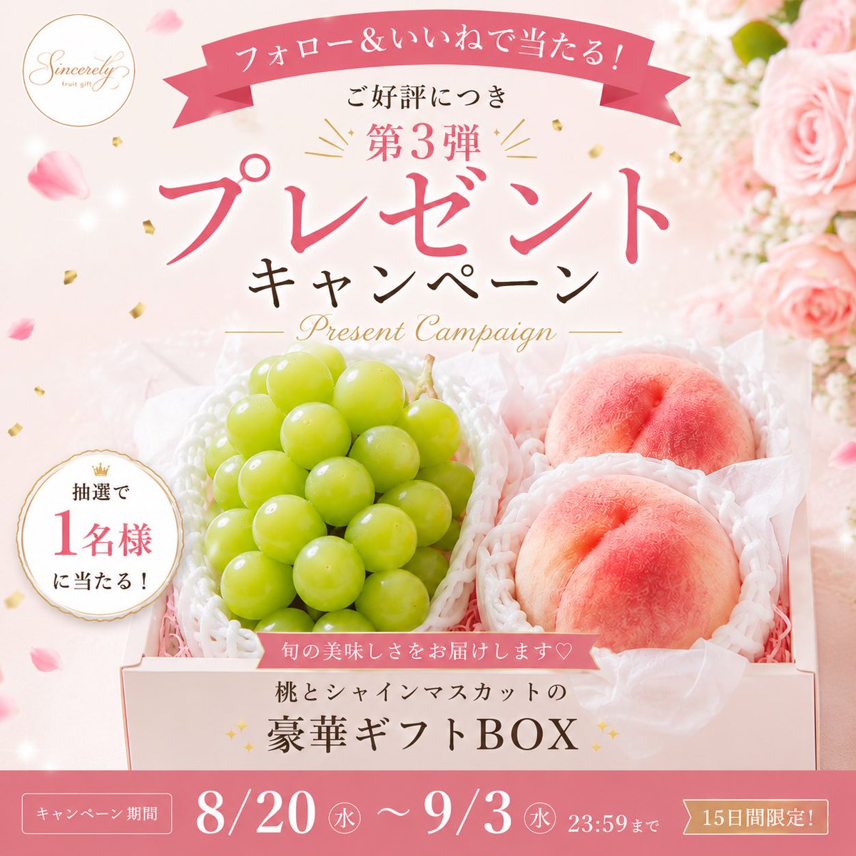 sincerely_gifts's tweet photo. 🎁プレゼントキャンペーン開催中🍑🍇

桃2玉＋シャインマスカット1房を
抽選で1名様にプレゼント♡

Instagramで9/3まで開催中✨
「sincerely_fruits」で検索🔍

たくさんのご応募ありがとうございます🥹🫶💕 https://t.co/LD9WzbwCRr