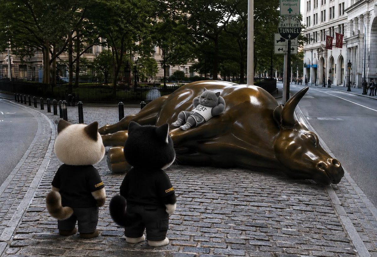 Coincat_Global's tweet photo. Wake up bro
let's keep going , don't stop

#bulltried #CCAT https://t.co/AIgyHQg3Yf