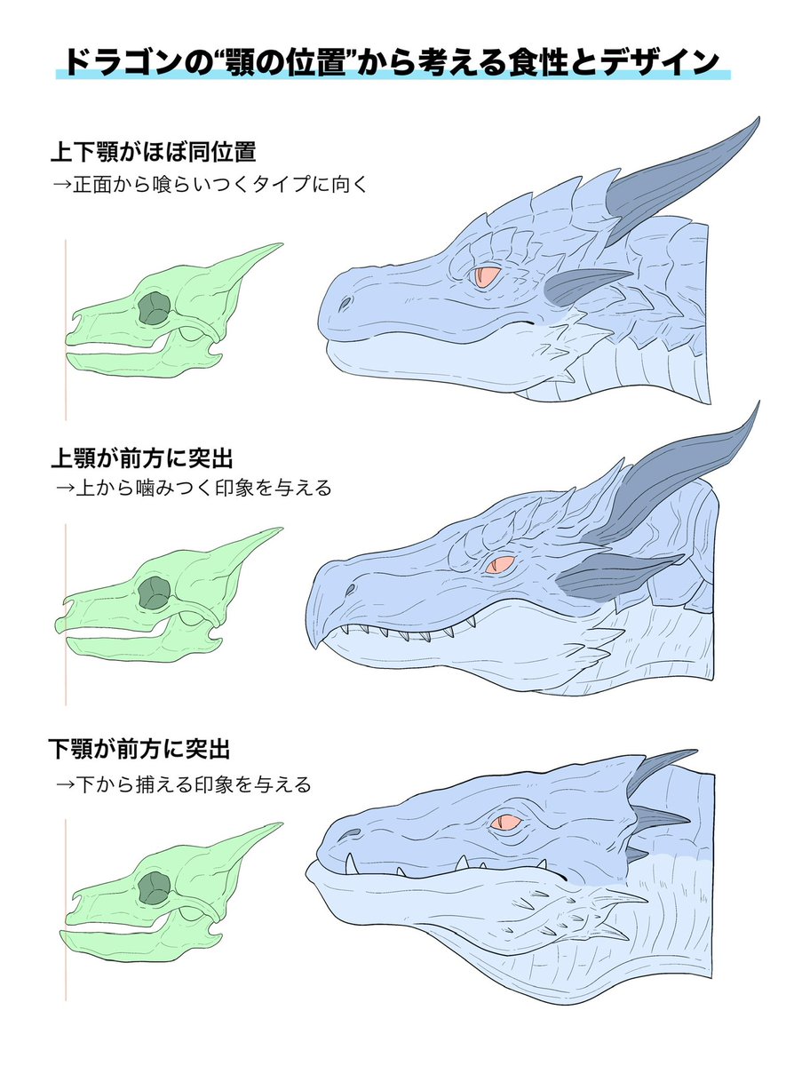 BEARLUXE's tweet photo. 【創作・デザイン研究メモ】
ドラゴンの「顎の位置」から、食性とデザインについて考えてみました
顎の位置関係が変わるだけでも、顔つきの組み立て方や噛みつき方の印象が大きく変わりますね！ https://t.co/c1wHlpQV6w