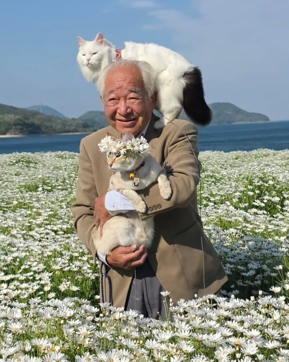 etginlik's tweet photo. Japonya'da yaşlı bir amca, sürekli kavga eden kedilerini gezdirerek barışmalarını amaçlıyor. https://t.co/9x2GFgw2w5