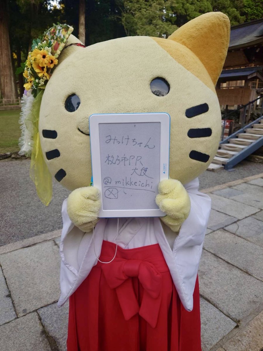 niutsuhimejinja's tweet photo. 『みっけちゃんご参拝』
大阪府枚方市PR大使の「みっけちゃん」にご参拝いただきました。

みっけちゃんは枚方市樟葉の「交野天神社（かたのあまつかみのやしろ）」で拾われた恩返しとして、巫女のお手伝いをしている三毛猫です。

クラシックバレエを習い、バレエやダンスで世界に笑顔を届けることと、みんなが自身の地元の「いいもの、みっけ。いいひと、みっけ。」で、それぞれの地元を好きになることが夢なのだそうです。

交野天神社は、第26代の継体天皇がご即位された樟葉宮の跡にあり、ご本殿は室町時代の造営で重要文化財に指定されている由緒正しいお宮です。これはしろまるくろまるを連れてお参りに行かねば。

みっけちゃん、ありがとうございました。