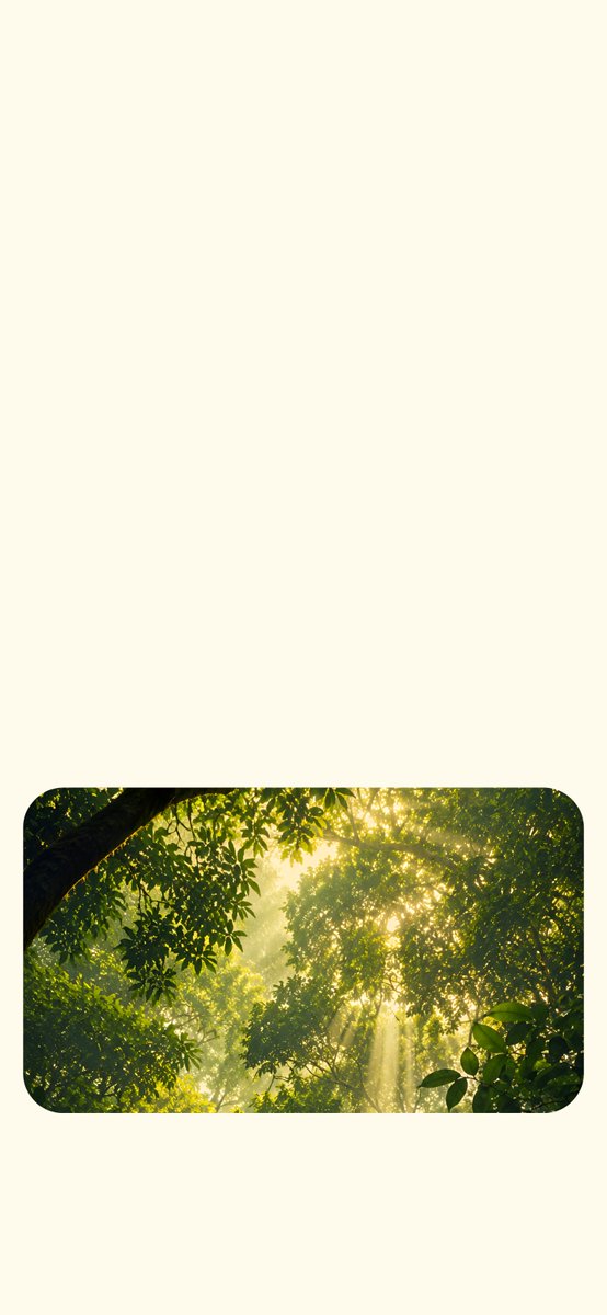 StylishWalls_'s tweet photo. Forest Glow #Wallpapers 🌳🍃✨

This weekend wallpapers is live!

Download hear. 🔗⬇
https://t.co/xwVk5Ci24B https://t.co/cQZTaWiQza