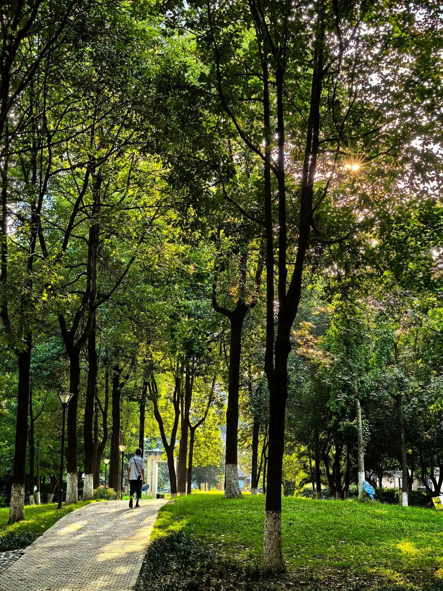 alsusmom's tweet photo. Esta tarde el sol brilla, con un aire cálido y agradable para dar un paseo por el parque.， https://t.co/NzjkApMgk4