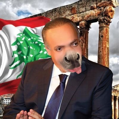 Auglia16's tweet photo. تحليلات حمار https://t.co/m5DsvIvnzp