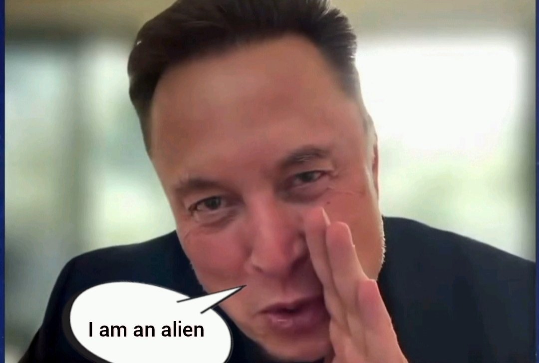 MAGAlivenews's tweet photo. @iam_smx @QuantXoG Elon is an alien i dont doubt it 😆 https://t.co/F0roZ0Way3