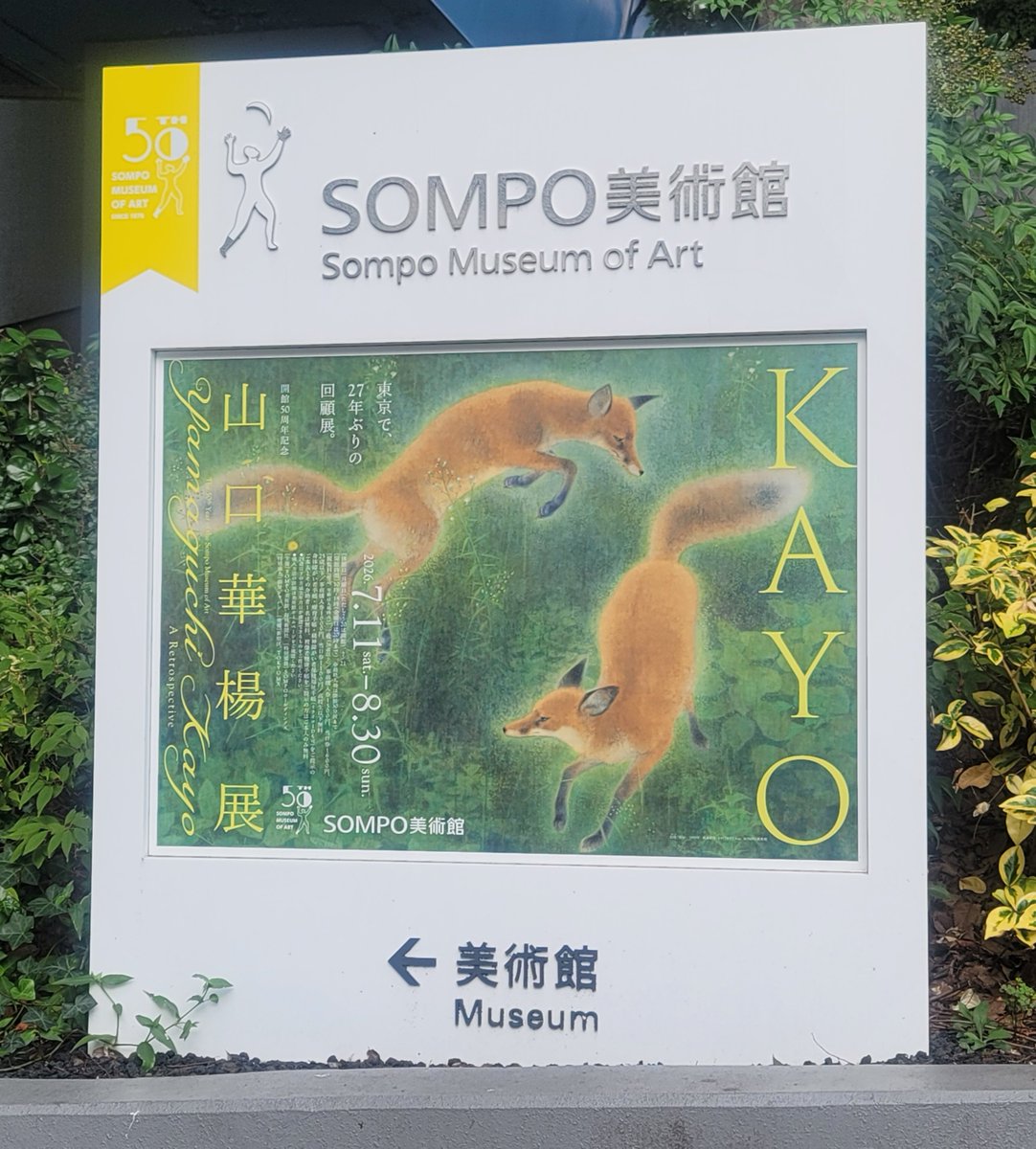 oja0218's tweet photo. 山口華楊の代表作「幻化」。ひと目見た瞬間に虜になってしまったこの日本画を、どうしても生で見たかった。飛び回る狐が幻想的で美しくて、浮かび上がってくるよう。「青柿」も良かったな。香るような草木と、それらに守られるようにして佇む黒猫。

行ったのは昨日なのに、まだまだ余韻に浸りまくり。 https://t.co/8dXsw5orE4