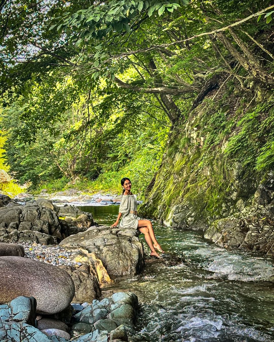 hallalexander42's tweet photo. A rainy August weekend well spent in the pleasantly cool woods of Gunma, just an hour by Shinkansen from Tokyo. https://t.co/8KxEiPTQL8