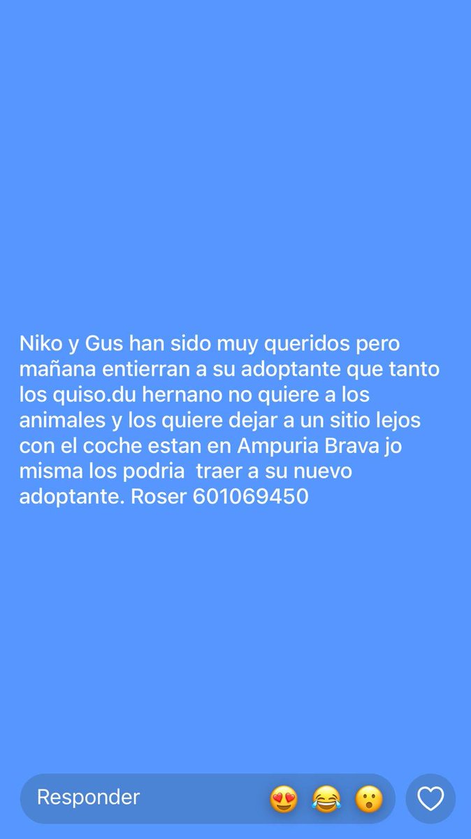 Neinei_rescue's tweet photo. CASO EXTERNO 🆘 

Si tutor ha muerto y el hermano de este ha amenazado con dejarlos en la calle. https://t.co/gUYwiX3WFk