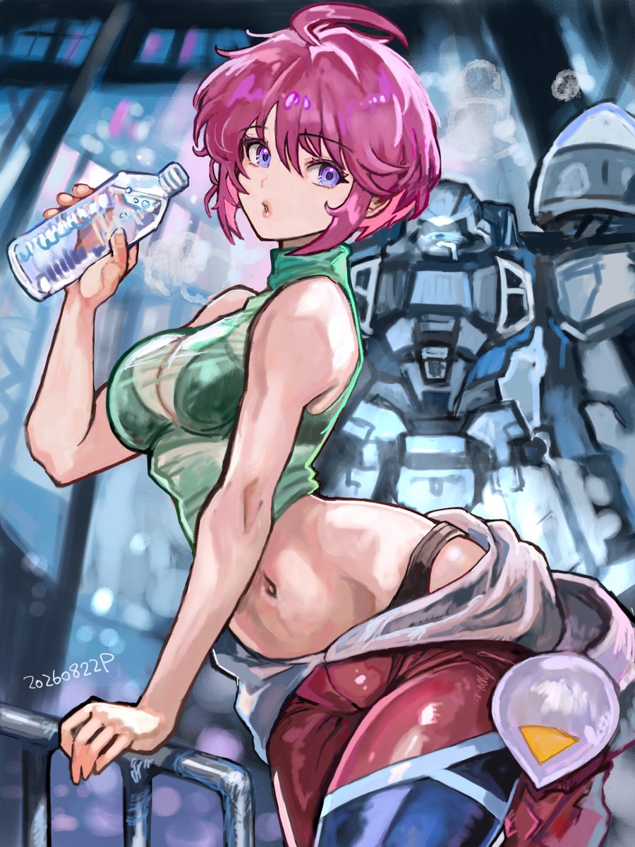 okrdisk2000's tweet photo. Lunamaria Hawk🩷SEED  Destiny https://t.co/c4EJ1L4bVA