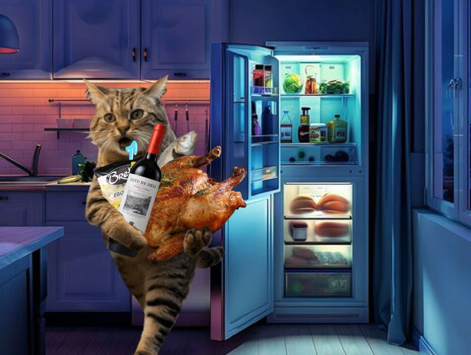 ThiefCatNAMIX's tweet photo. GNamilio 😸 Another beautiful day to steal everything except the green candles. 🐱💰 https://t.co/Ob4oYQHIuD