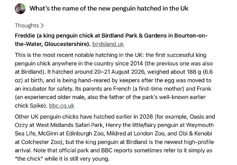 mischievousdmn's tweet photo. There's an og FREDDIE at 12hrs ago and didnt bond

UK Just had its first King Penguin hatchling in 12 YEARS

there one that bonded without the name of the penguin as well this is free at 5k 

GUUnLQNSyYquPRUozpfzHcA2yUSC1S4ovr3Vwmi6pump https://t.co/joHfjwxQpv