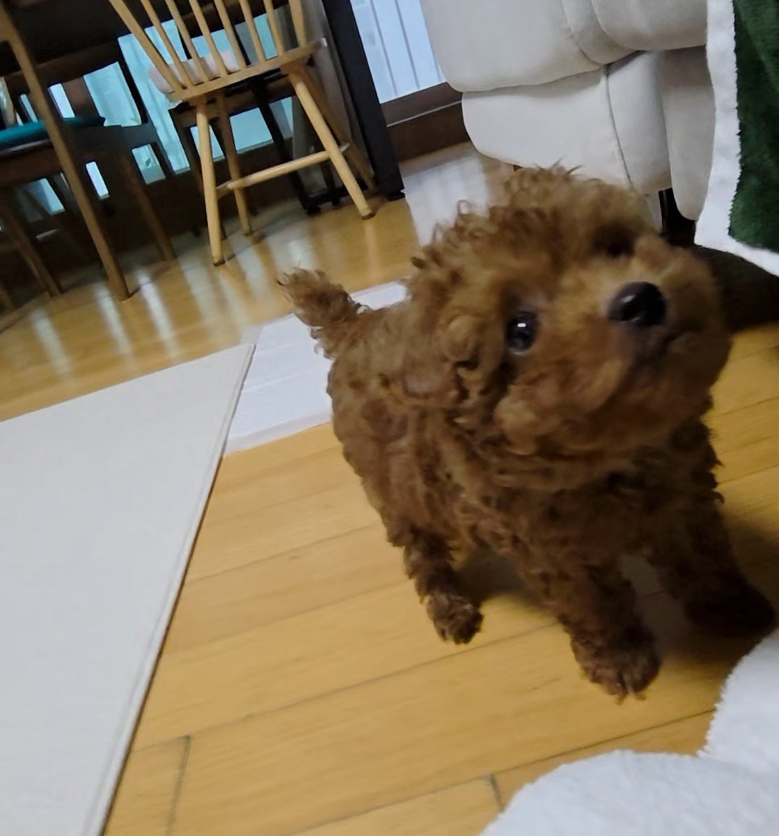 ulmo0's tweet photo. 사진 올렸었는데 안 보이길래
아가때랑 최근 사진 https://t.co/vHiqyFveOy