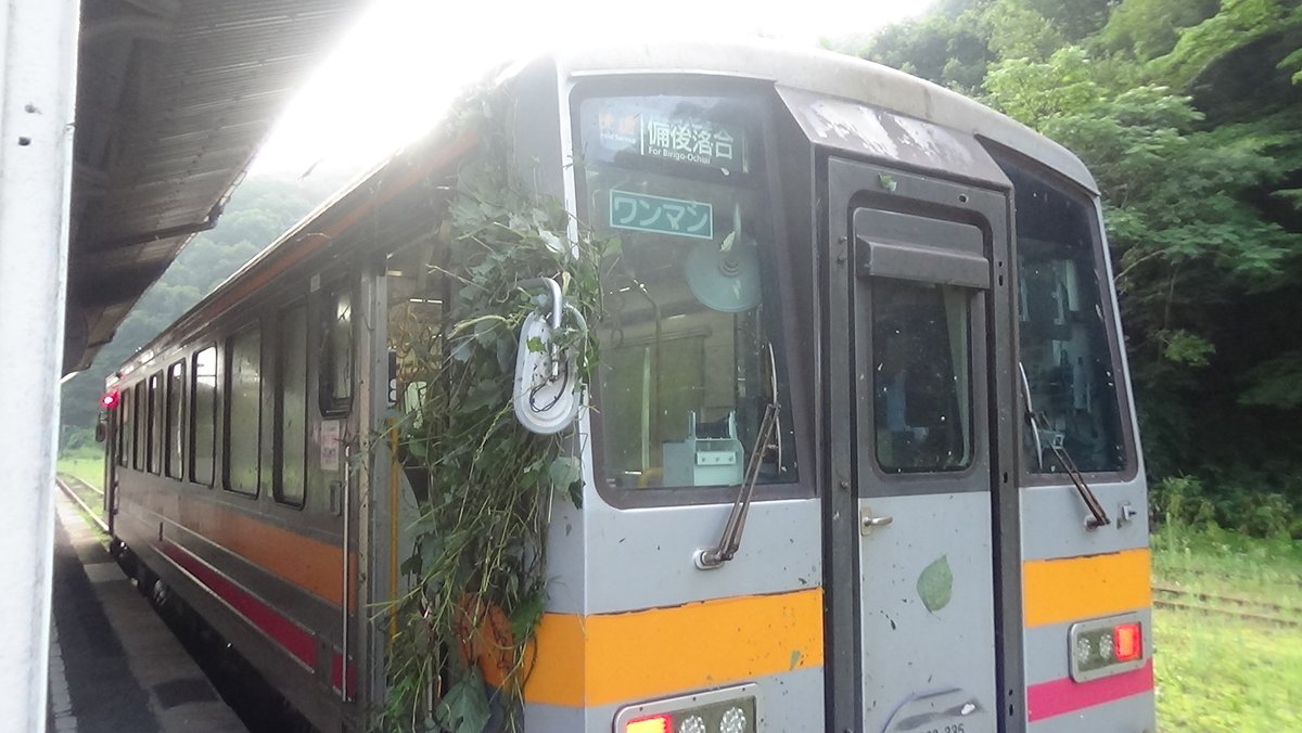 00jKDG0dLf94208's tweet photo. 昨日の大雨から一夜明けた今日、東城5時45分発の芸備線・備後落合行きに乗車しました🚞
備後落合に到着した際には、線路沿いの木が車両のミラーに引っかかるなど、厳しい状況でした🌳
それでも力強く走る芸備線💪
是非乗りにお越しください！🛤✨
#芸備線 #乗車運動 #乗って残そう ＃廃線反対 https://t.co/kDvAt4jVau