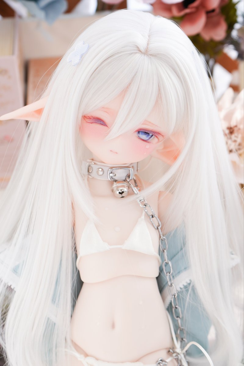 chichichi___yu's tweet photo. 宣伝失礼致します。
双子エルフちゃんのおうち探しは明日終了です🧚🤍

上の子→https://t.co/YCncJ6Wo61
下の子→https://t.co/JS4iGCGmVu

引き続きどうぞよろしくお願い致します☺️ https://t.co/Dz44h0PQp7