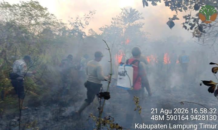 indepenSumatera's tweet photo. 🚨 URGENT! 

Rumah gajah, harimau dan badak Sumatera kebakaran 

KEBAKARAN MELANDA TAMAN NASIONAL WAY KAMBAS LAMPUNG TIMUR! 🚨

Sabtu, 22 Agustus 2026

Kabar duka kembali datang dari dunia konservasi Indonesia. Kebakaran hutan dan lahan dilaporkan melanda kawasan Taman Nasional Way Kambas di Kabupaten Lampung Timur, Lampung.

Kawasan ini merupakan salah satu benteng konservasi terpenting di Indonesia yang menjadi rumah bagi berbagai satwa dilindungi, termasuk Gajah Sumatra, Harimau Sumatra, dan Badak Sumatra.

-  Ancaman Terhadap Satwa Kunci
Kobaran api dan kepulan asap pekat mengancam ruang hidup serta keselamatan satwa-satwa langka yang mendiami kawasan TNWK. Kerusakan vegetasi hutan juga berisiko memicu konflik satwa dan manusia di wilayah sekitar.

-  Akses & Tantangan Pemadaman
Tim gabungan dari Balai TNWK, Manggala Agni, BPBD, TNI/Polri, serta relawan masyarakat setempat terus berpacu dengan waktu dan tiupan angin keras untuk melokalisir pergerakan api agar tidak meluas ke zona inti.

- Desakan Investigasi & Penyebab
Selain faktor cuaca kemarau yang kering, pihak berwenang didesak untuk menginvestigasi secara mendalam penyebab pasti munculnya titik api, termasuk menindak tegas jika ditemukan unsur kelalaian atau kesengajaan pembakaran lahan.

Mari kita kirimkan doa dan dukungan penuh untuk seluruh petugas dan relawan yang tengah bertaruh nyawa memadamkan api di lapangan! 🙏🔥🐘