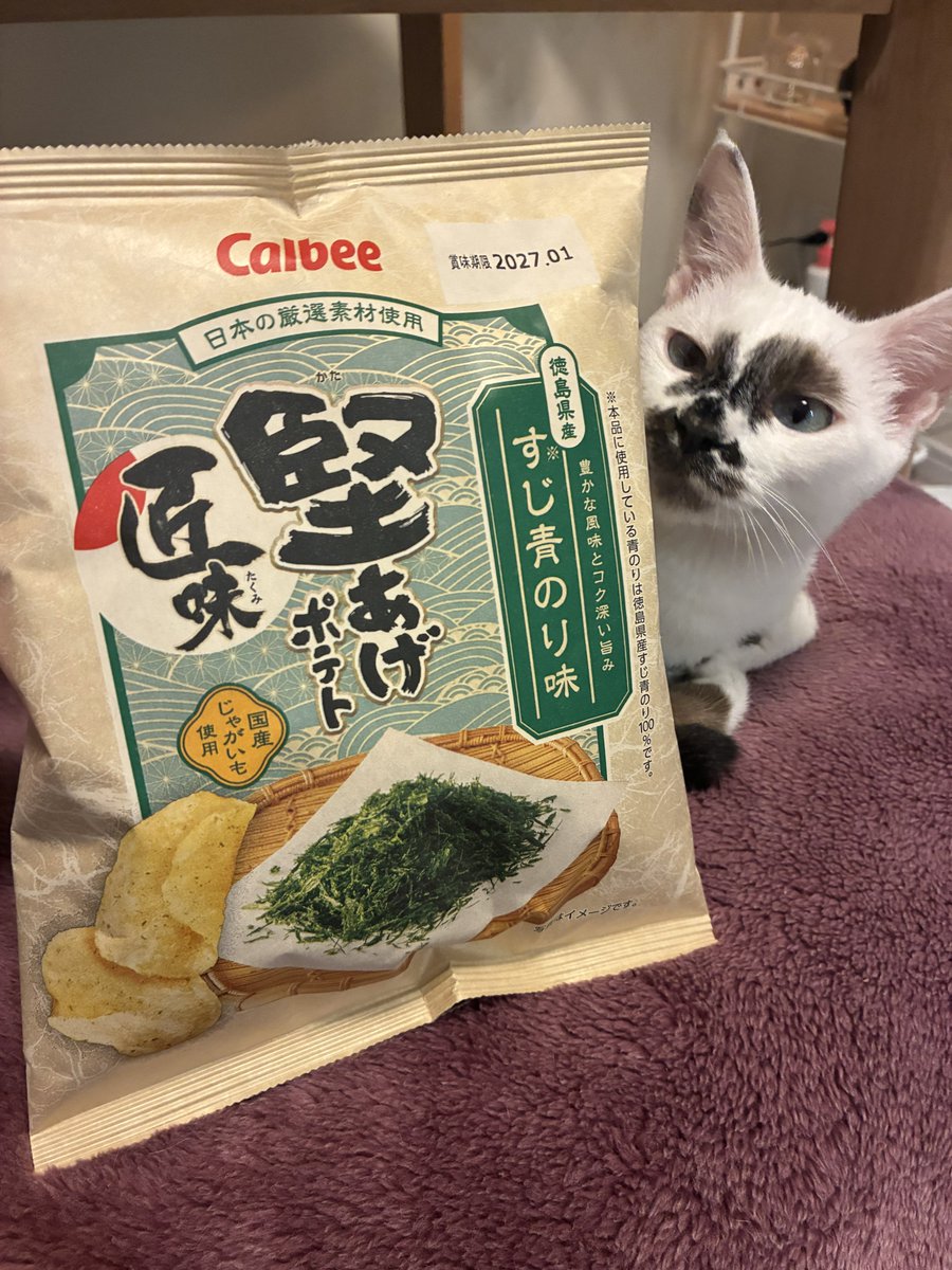 pan15oO's tweet photo. 期待大ッ！ https://t.co/GObjohJUEe