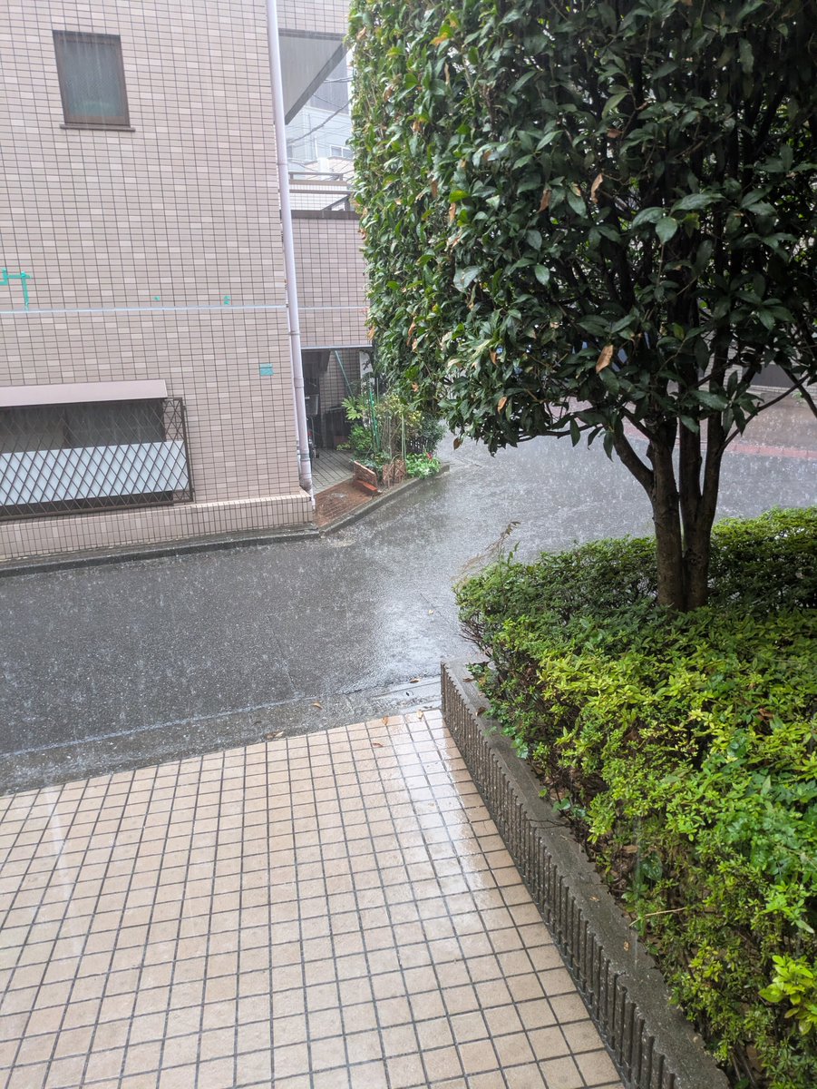YUIYUAN2's tweet photo. いくら休憩に行かないといけないとはいえ、こんな日に外に出るもんじゃない…。買ったばかりのNIKEもCalvin Kleinのパンツも余すことなく全部ずぶ濡れ💦テレビはポキュン♪ポキュン♪大雨危険警報鳴ってるし、神田川もレベル4の氾濫警報出てるし…。また千葉県は心配ですね…😥 https://t.co/Kx147WbyEh