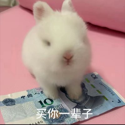 azhen1107's tweet photo. #新头像 https://t.co/P6fFO23FXf