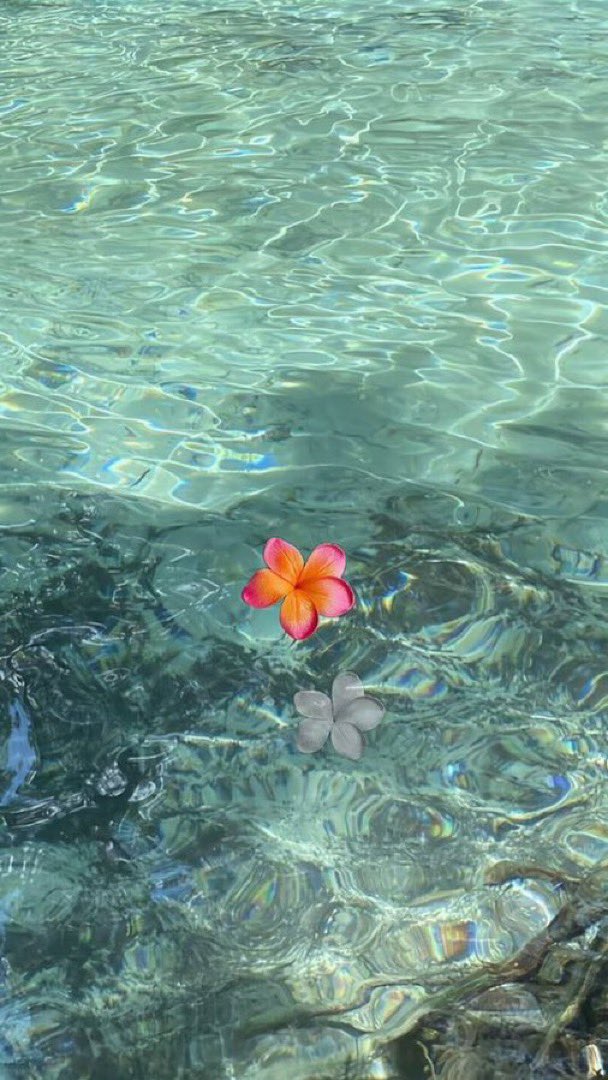 _Naturaee's tweet photo. sea serenity https://t.co/XpL5XCTYHW