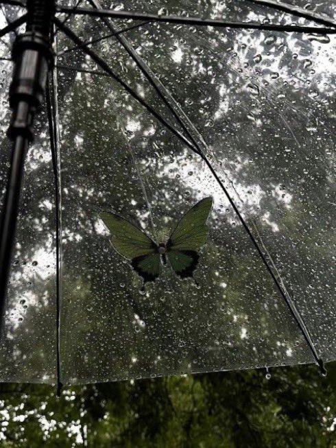 _Naturaee's tweet photo. rainfall https://t.co/DANEhDcYw8