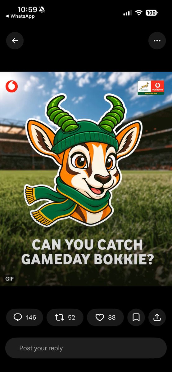 Palesa_Lisa's tweet photo. @Vodacom Bokkie in game gear  #VodacomlovestheBokke💚 https://t.co/FFCQJ0K8Us