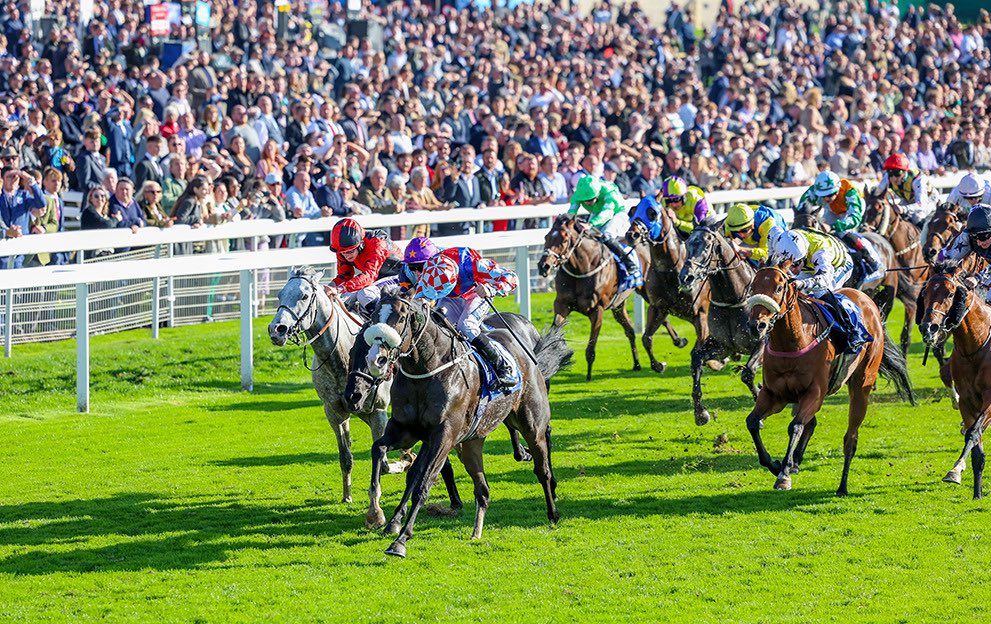 JonahRacing's tweet photo. 🌹York Ebor Festival Day 4

Selections

13:50 - Geryon - 1.5pt Win

14:25 - Limestone - 0.5pt Win

15:00 - Ten Bob Tony - 1.5pt Win

15:35 - Mr Hollywood - 0.5pt E/W

16:45 - Adonius - 2pt Win

If you’ve followed the staking plan, you should have bagged yourself 8+ points in profit guaranteed. 

Let’s push for double figures today, be lucky whatever you do. 

Been a pleasure this week lads. 

#York #EborFestival