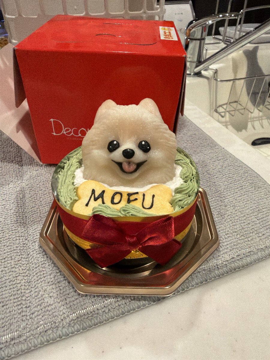 mofumofu___82's tweet photo. 先日5歳の誕生日でした🎂
#ポメラニアン #いぬのいる暮らし https://t.co/ey3gva0GCM