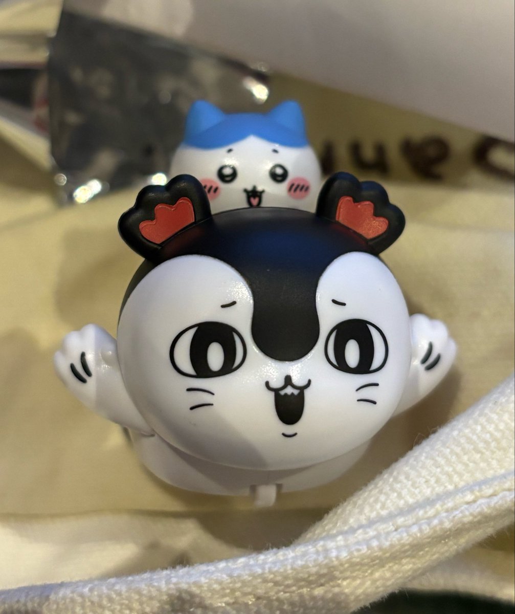 pompommanjyu's tweet photo. 特典ハチワレでした👍 https://t.co/fXKNSbsqli