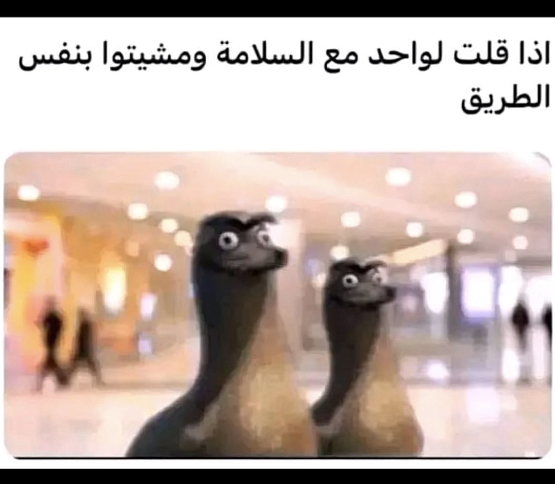 k26845's tweet photo. @diario_AFC اتوقع جت هالصوره في بال كل اهلاوي يوم قرا الكلام😂💚 https://t.co/mwMuq9hGlN