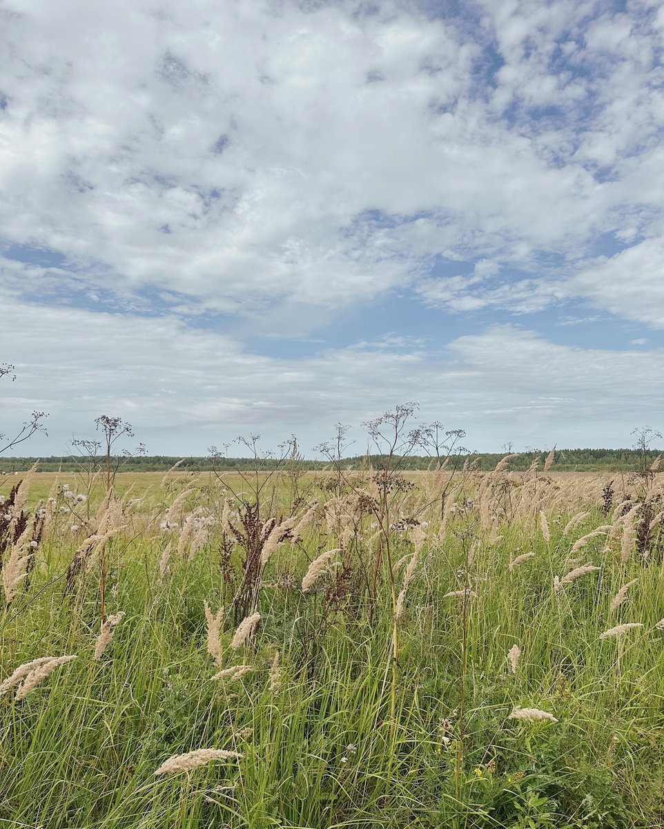 Laura_66aMCC's tweet photo. Weekends are meant to be taken a little slower.
Soak up some sunshine, enjoy the breeze, and don’t rush anything. Sometimes, simply feeling relaxed and comfortable is the best plan. ☀️🌿 https://t.co/w0RZC6qZet