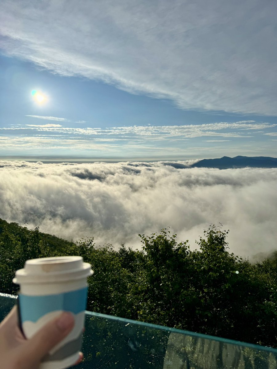 miomomomio's tweet photo. 一年振り三度目のチャレンジでようやく本懐を遂げたよ！！！！☁️☁️☁️ https://t.co/2bIuZYnDhU