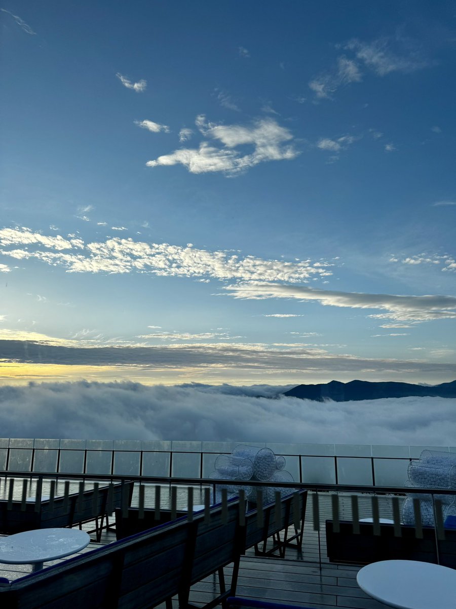 miomomomio's tweet photo. 一年振り三度目のチャレンジでようやく本懐を遂げたよ！！！！☁️☁️☁️ https://t.co/2bIuZYnDhU