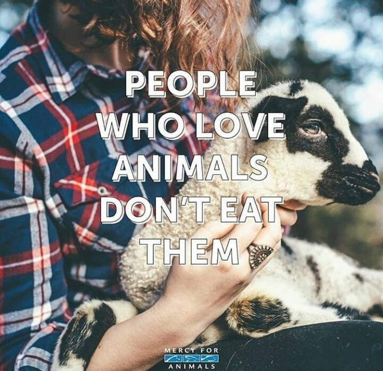 veganfuture's tweet photo. https://t.co/vcWzWY4Zmg