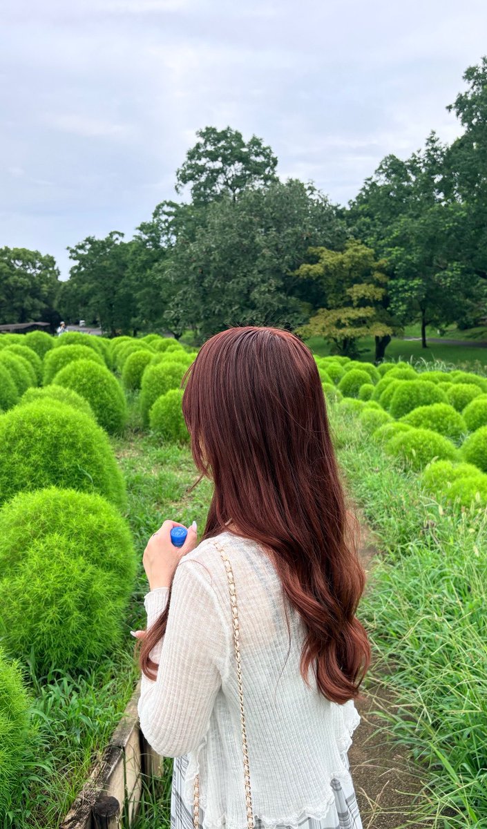 nrsa_rr's tweet photo. 彼女と来年も再来年もずっと一緒に綺麗な景色をみれますように⋆˙⟡ https://t.co/DxiZSgjsHB