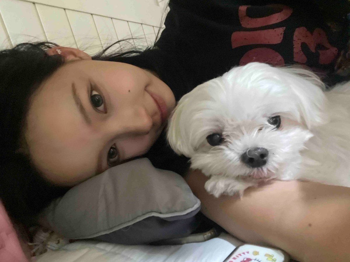 savemerthy's tweet photo. 눵이랑개와냥이 이만큼여친인데
먱이개와냥한테이만큼조또만만이인거개웃기다.. 
정주임님 이사원이랑그렇~게안사귄다더니
강아지내려놓자마자물어뜯으러감진짜안사귀시나봐;; https://t.co/YTTsNXM89P