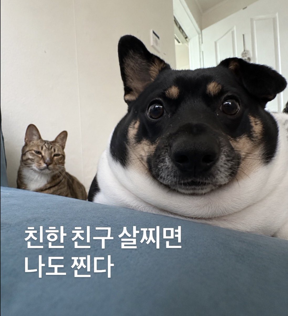 kyubalnom tweet picture