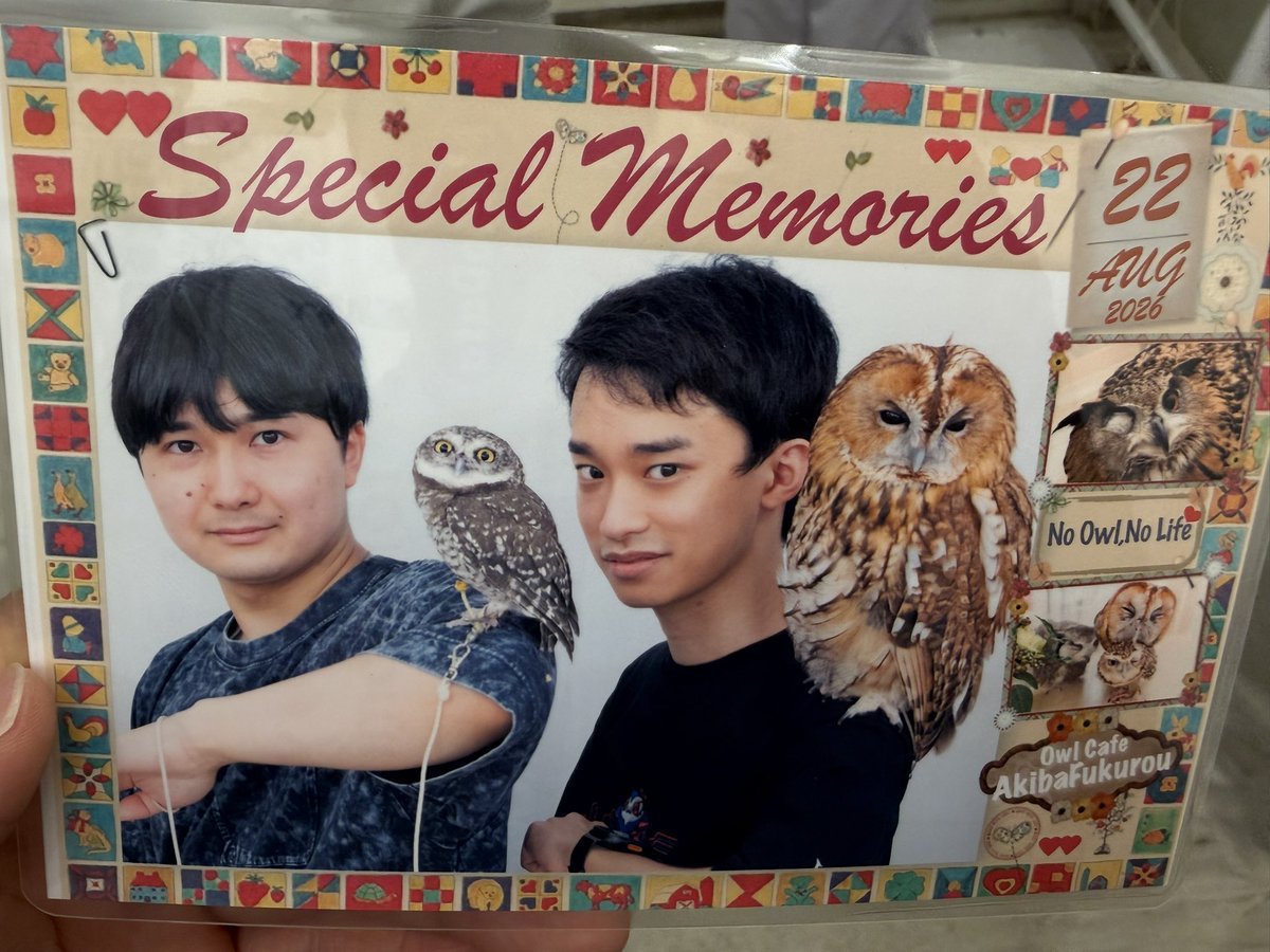 TMW75641137's tweet photo. Cityさんとフクロウカフェ行ってきた！🦉
可愛すぎて占い師のフクロウもう殴れない🥺 https://t.co/KA7fvVsQWS