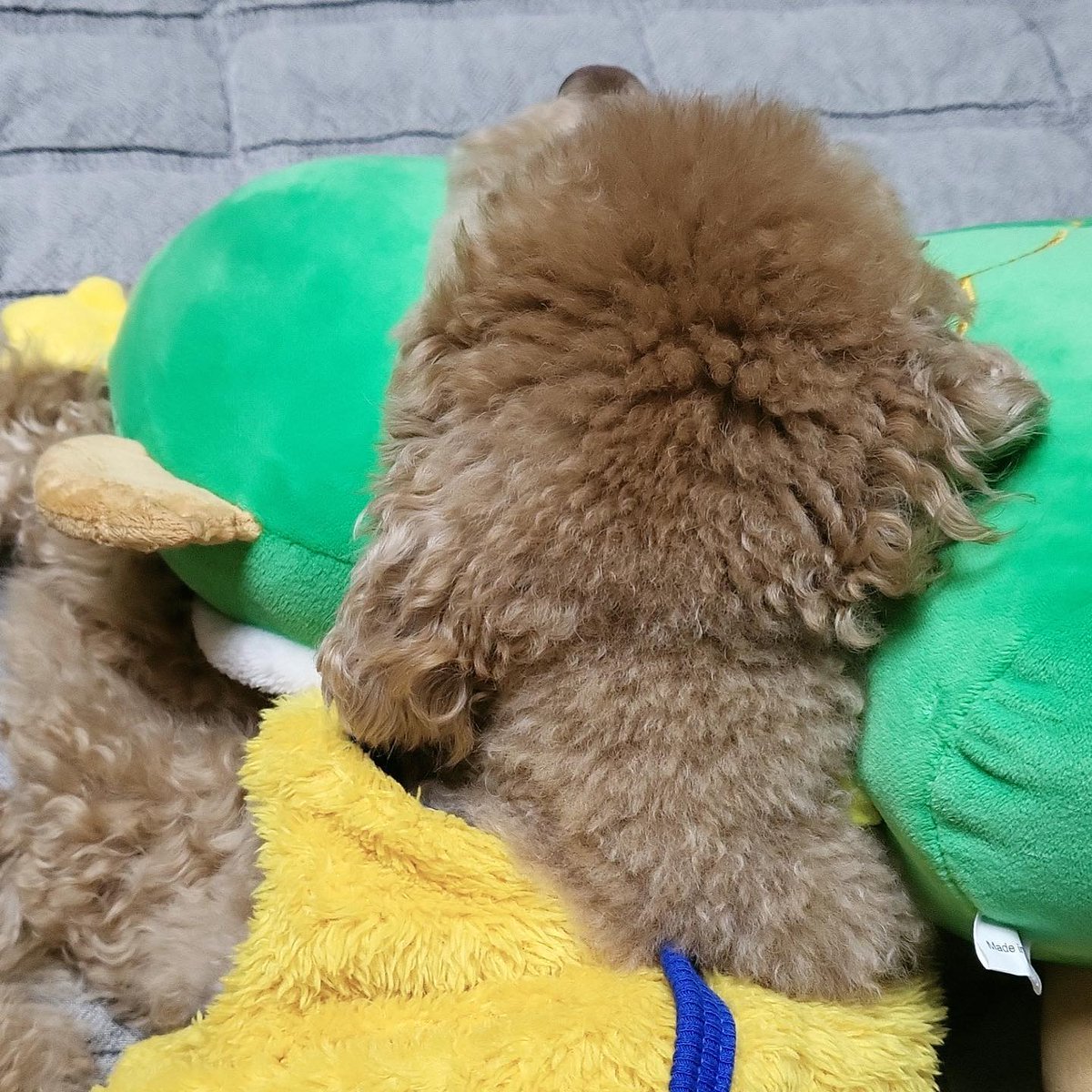 DarylStewaf8ej's tweet photo. 男の友情は、言葉なんてなくても通じ合えるもんだよな。今日も一日お疲れ様！ 💯🎉
GSuGsf https://t.co/hQSf9973y9