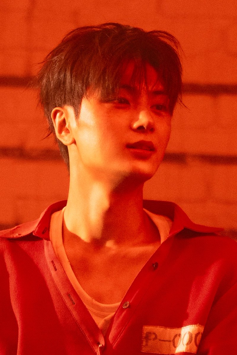 jjongarc's tweet photo. 와진짜진짜로...
”박종성 얼굴“ 미침 ............... https://t.co/kb3g1fcRxE